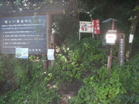 002両神山の写真